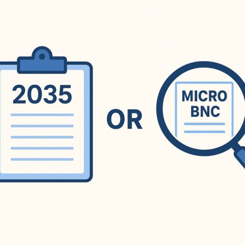 Déclaration 2035 ou micro-BNC