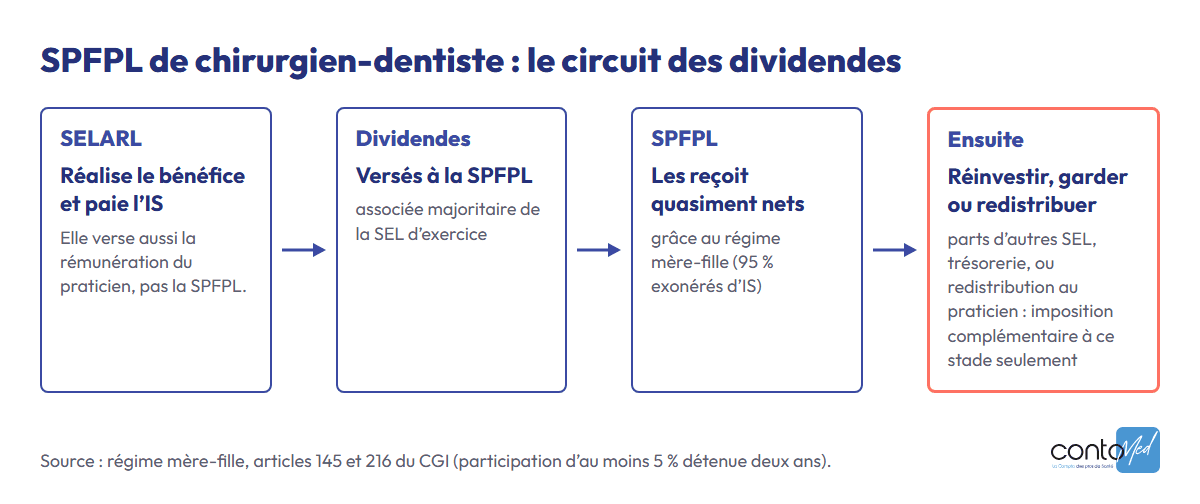 Schéma : la SELARL dentaire paie l’IS puis verse ses dividendes à la SPFPL, qui les reçoit quasiment nets grâce au régime mère-fille ; l’imposition complémentaire n’intervient qu’en cas de redistribution au praticien.